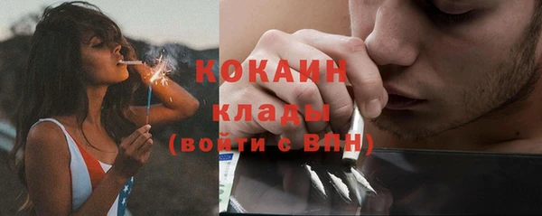 твердый Абаза