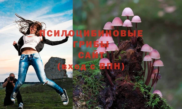 каннабис Абдулино