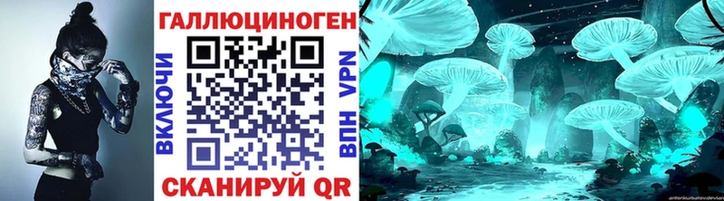 Псилоцибиновые грибы Cubensis  Екатеринбург 